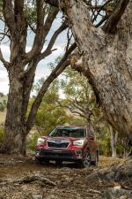 Subaru Forester 2.5i Premium 2018 года (AU)